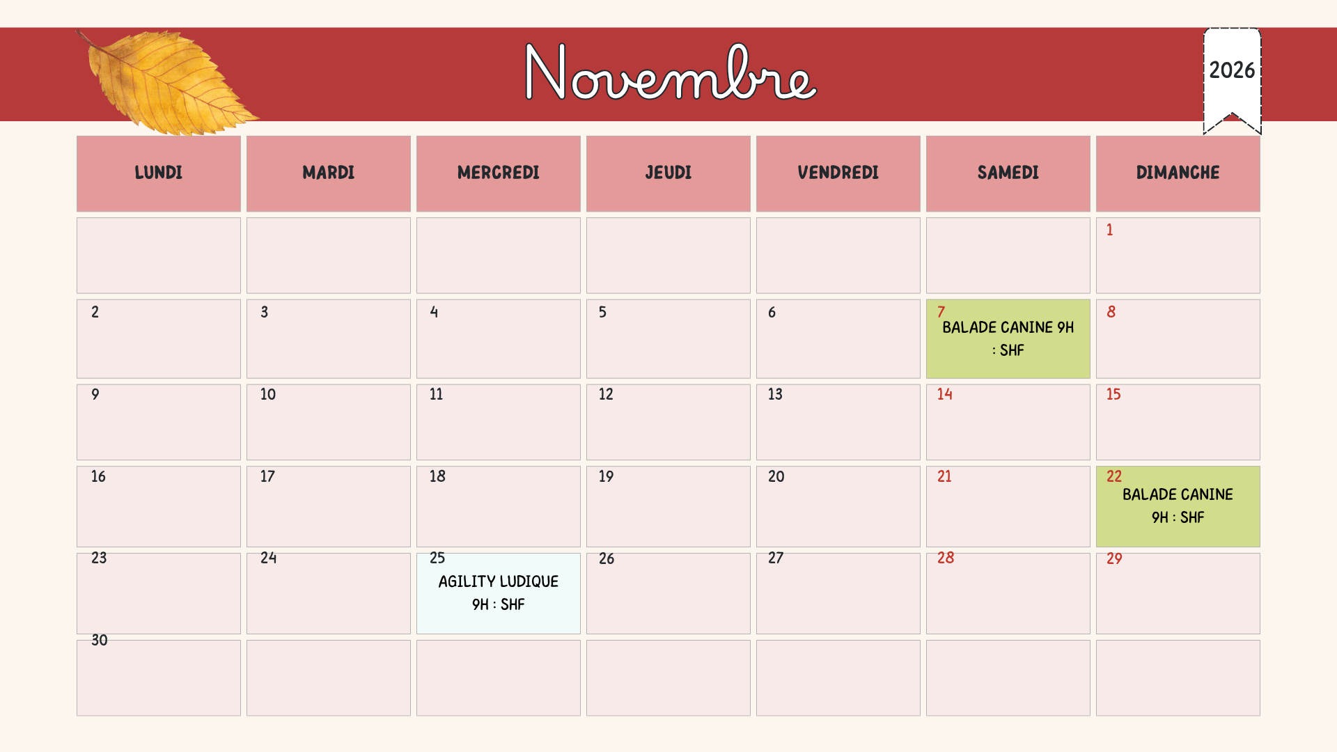 Planning Novembre