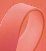 S10 — Corail