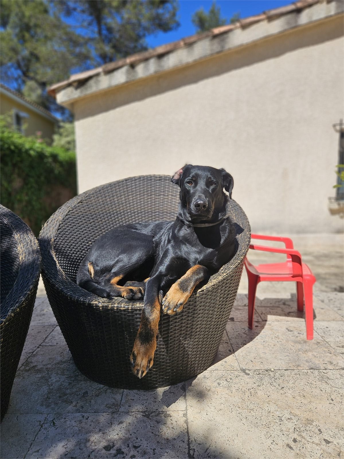 Texas en extérieur