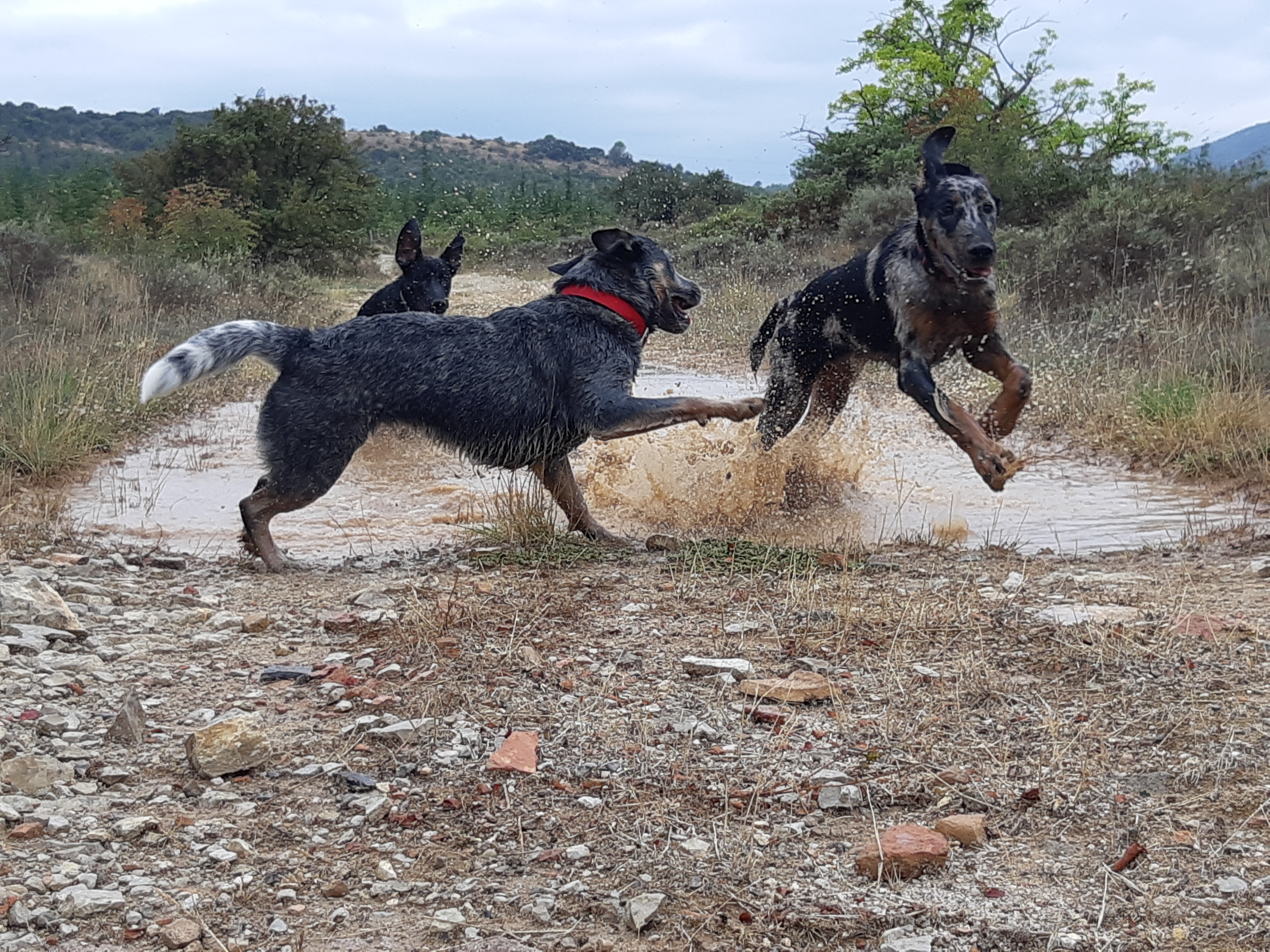 activités sportives